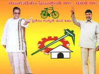 TDP activists stage dharna