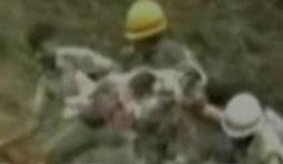 Mangalore Air Crash -160 Indians dead