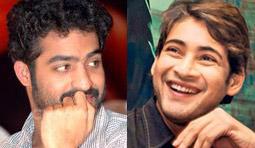Brindavanam &amp; Khaleja traveling with 'Simha'