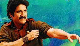 Ragada Movie Review