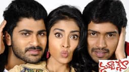 Nuvva Nena Review