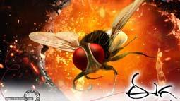 Eega Movie Review