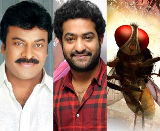 'Eega' Dances Like Chiru &amp; NTR
