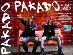 'Julaayi' failed with 'Pakado'