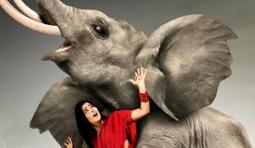 Avunu Movie Review