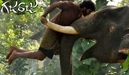 Gajaraju Review