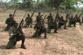 Top naxal killed in encounter