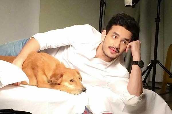 How Much Share Can 'Akhil' Collect?