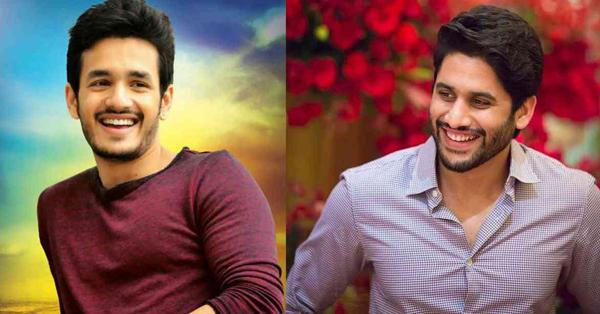 Akkineni Brothers For BO War!