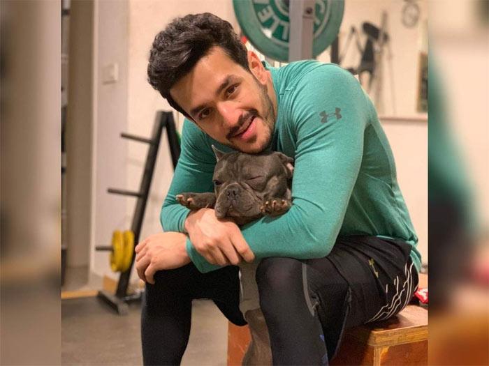 Akhil Busy With Sangeet Party