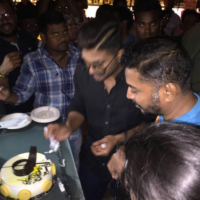 Why Bunny Celebrated Too Early?