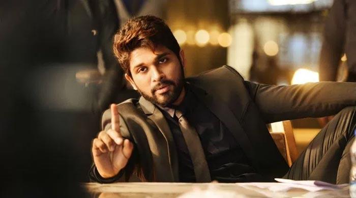 Mega Fans No More To Spare Bunny!
