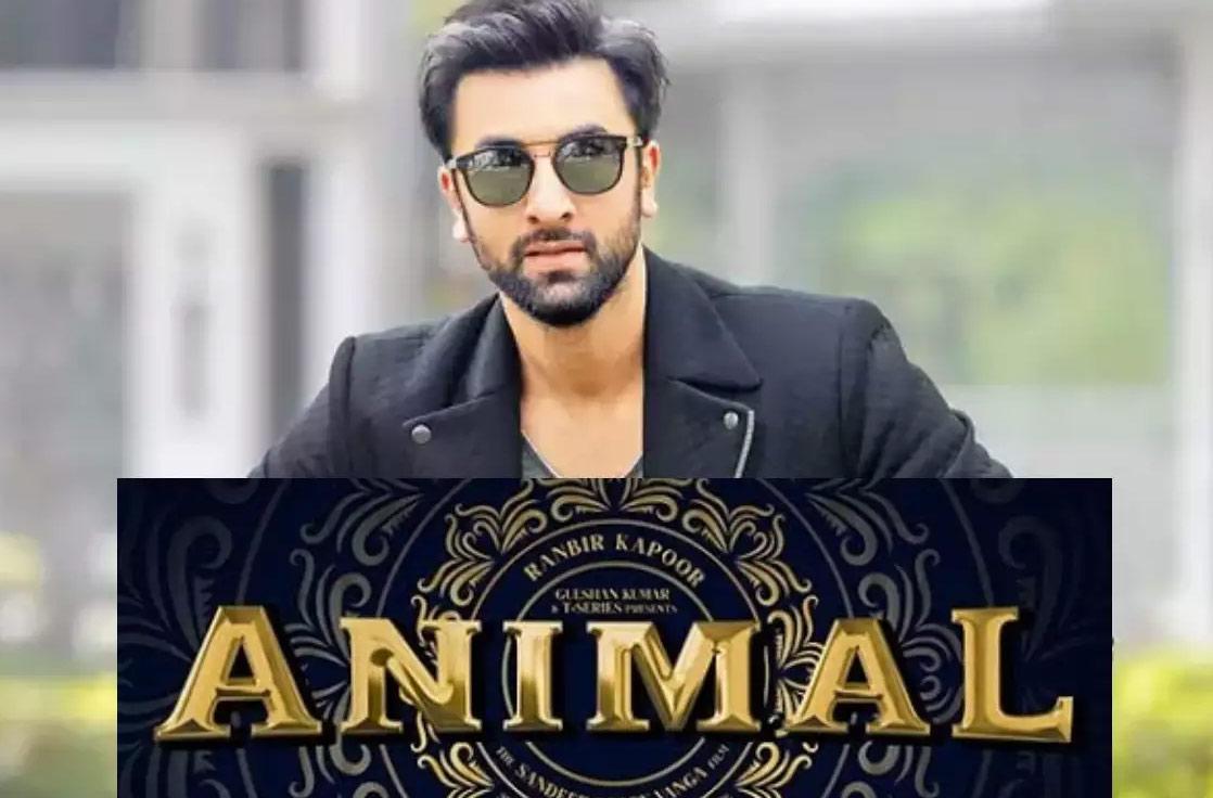 Sandeep Reddy Vanga's Animal in action sequences