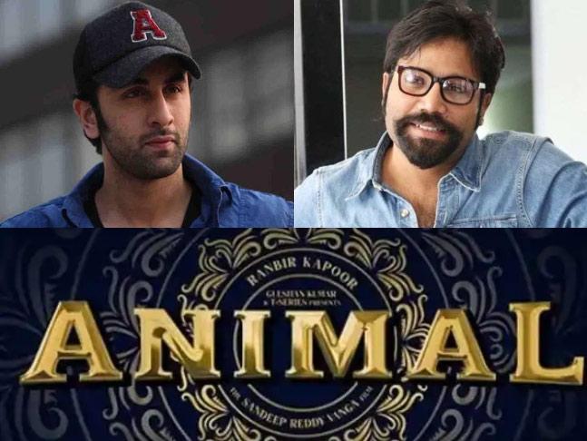 Animal completes action sequence