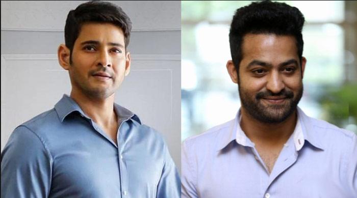 Mahesh and NTR Retort to Critics!