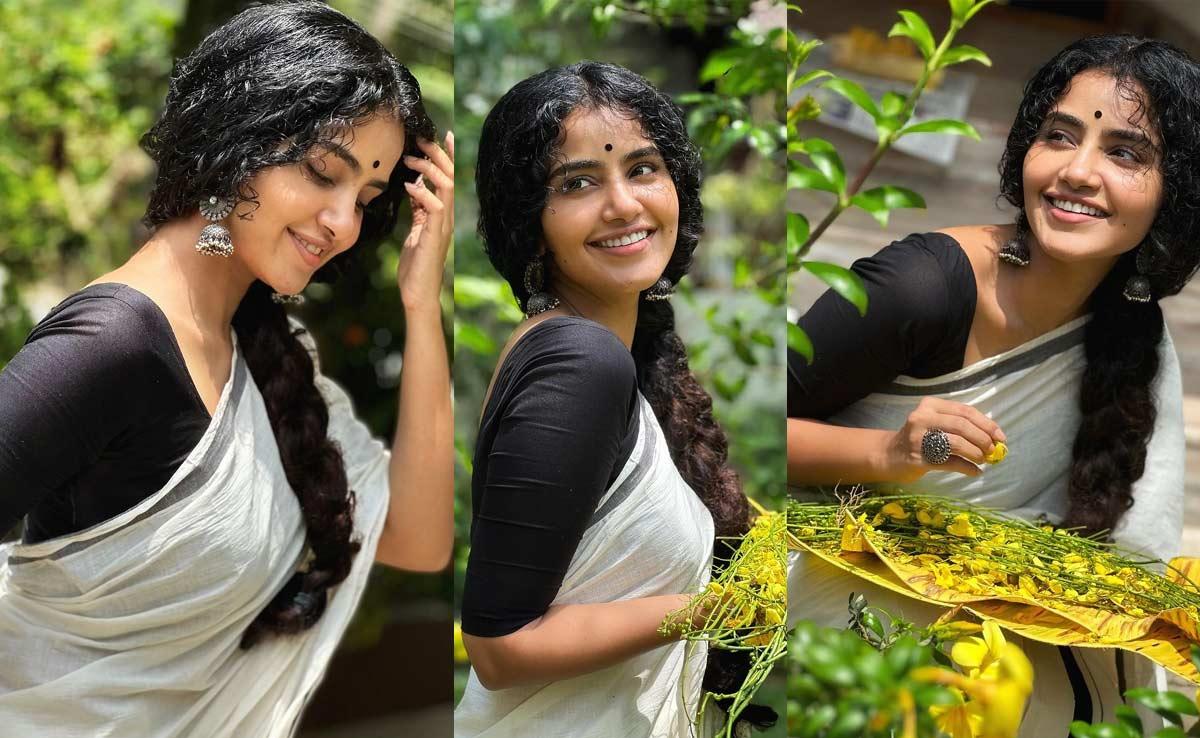Anupama Parameswaran wows in a saree
