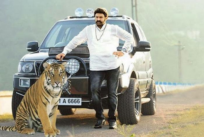 Balayya Bored with Lion, Embraced Tiger!