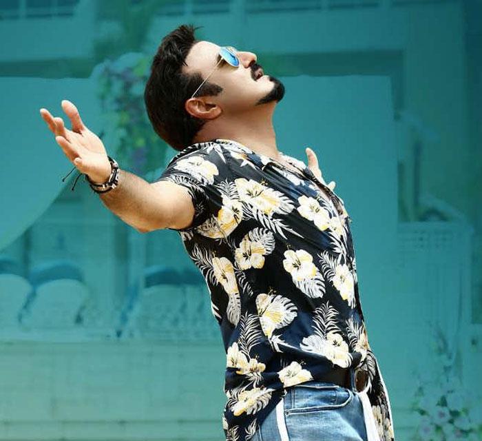 Time for Balakrishna in Multi-starrers