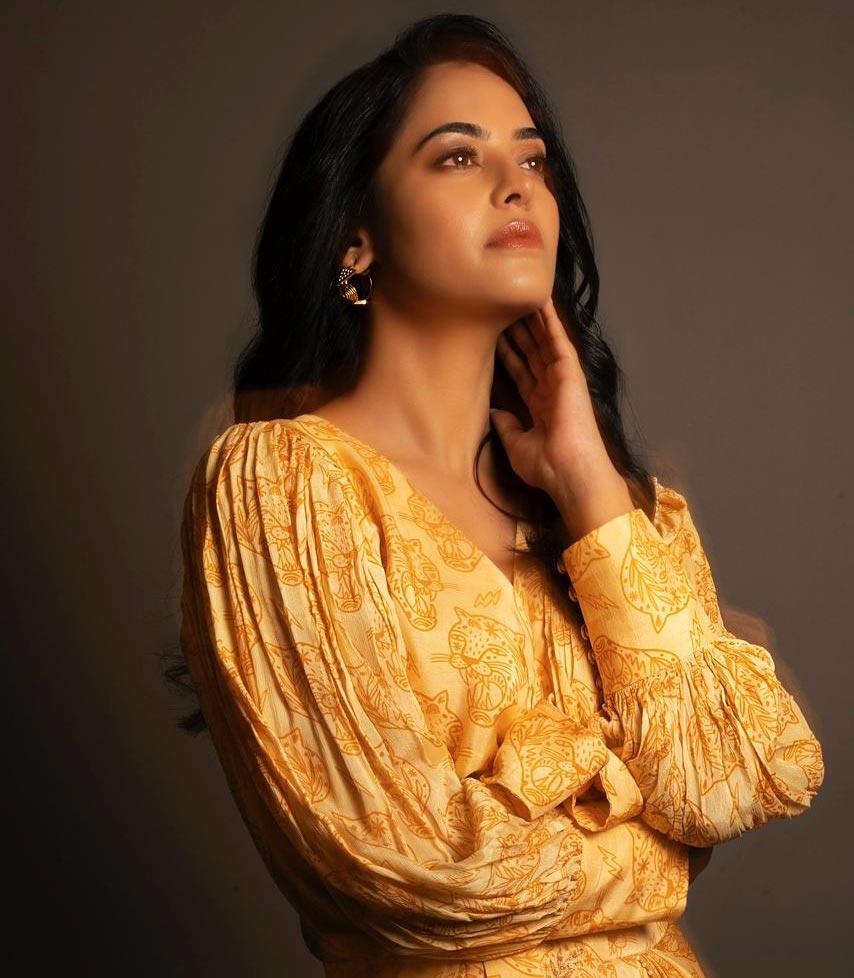 Bindu Madhavi to entertain with new web series