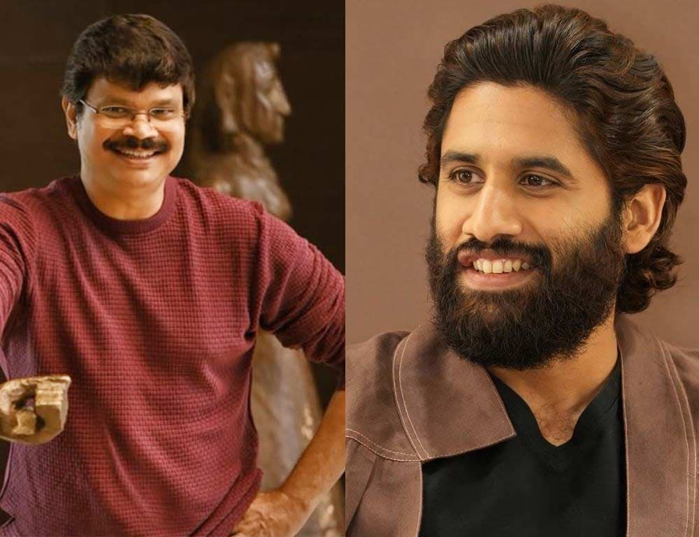 Geetha Arts and Boyapati Srinu Team Up with Naga Chaitanya