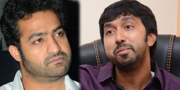 Jr NTR Lining Raviteja Script!