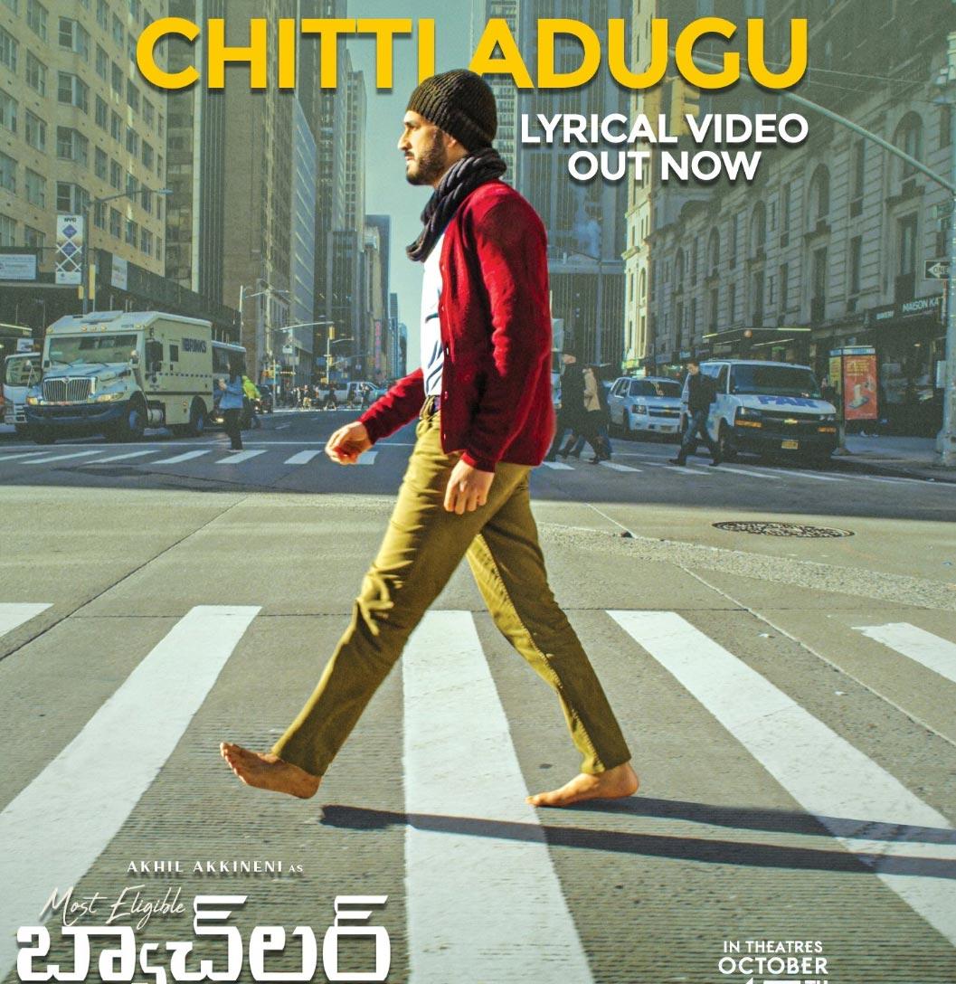 Chitti Adugu from Most Eligible Bachelor captivates