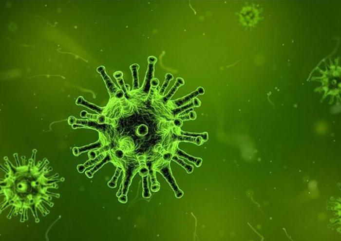 True! Coronavirus Is a Goddess for Them!