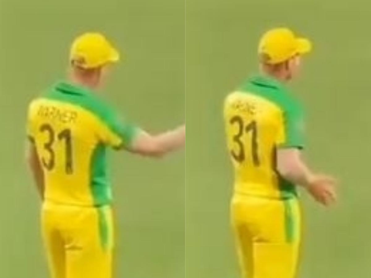 David Warner Wins Telugu Audiences Hearts Again