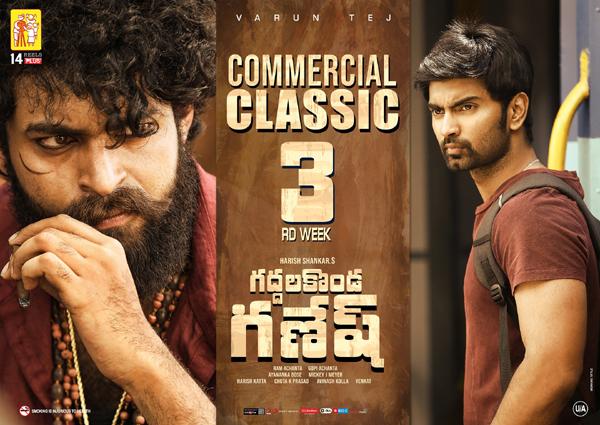 Gaddalakonda Ganesh 2 Weeks Collections