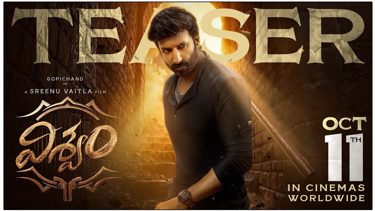 Gopichand Viswam Teaser Review