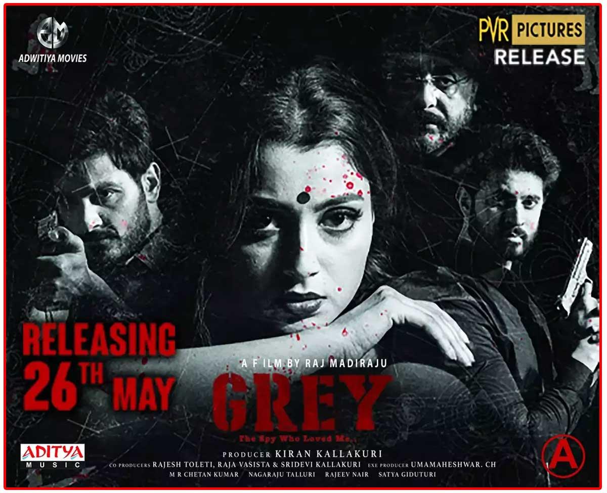 Grey Telugu Movie Review