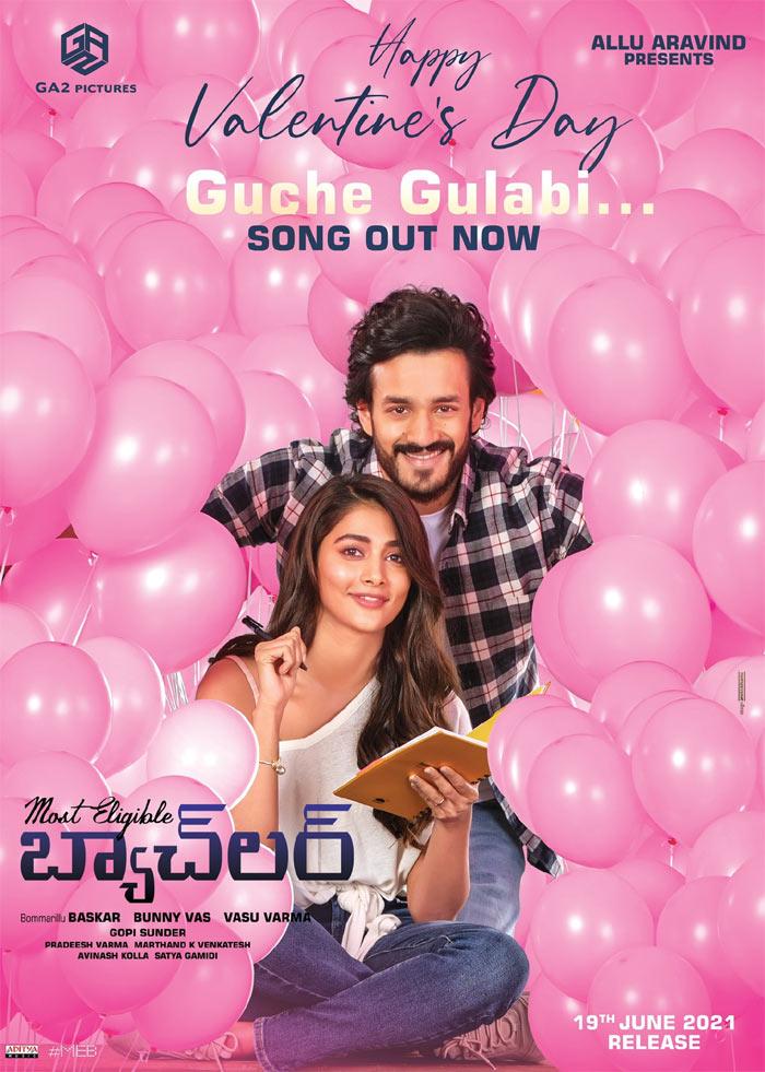 Guche Gulabi From MEB: Enchanting
