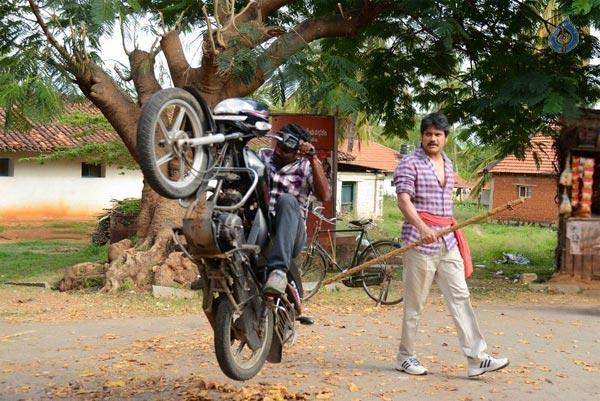Why Nagarjuna Entered Pongal Race?