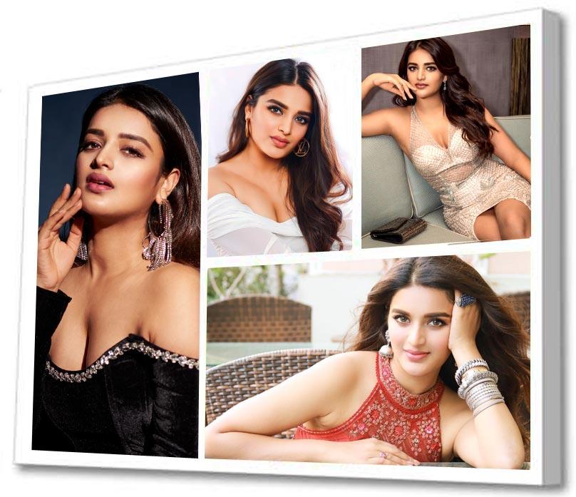 Nidhhi Agerwal pinning her hopes on high profile projects