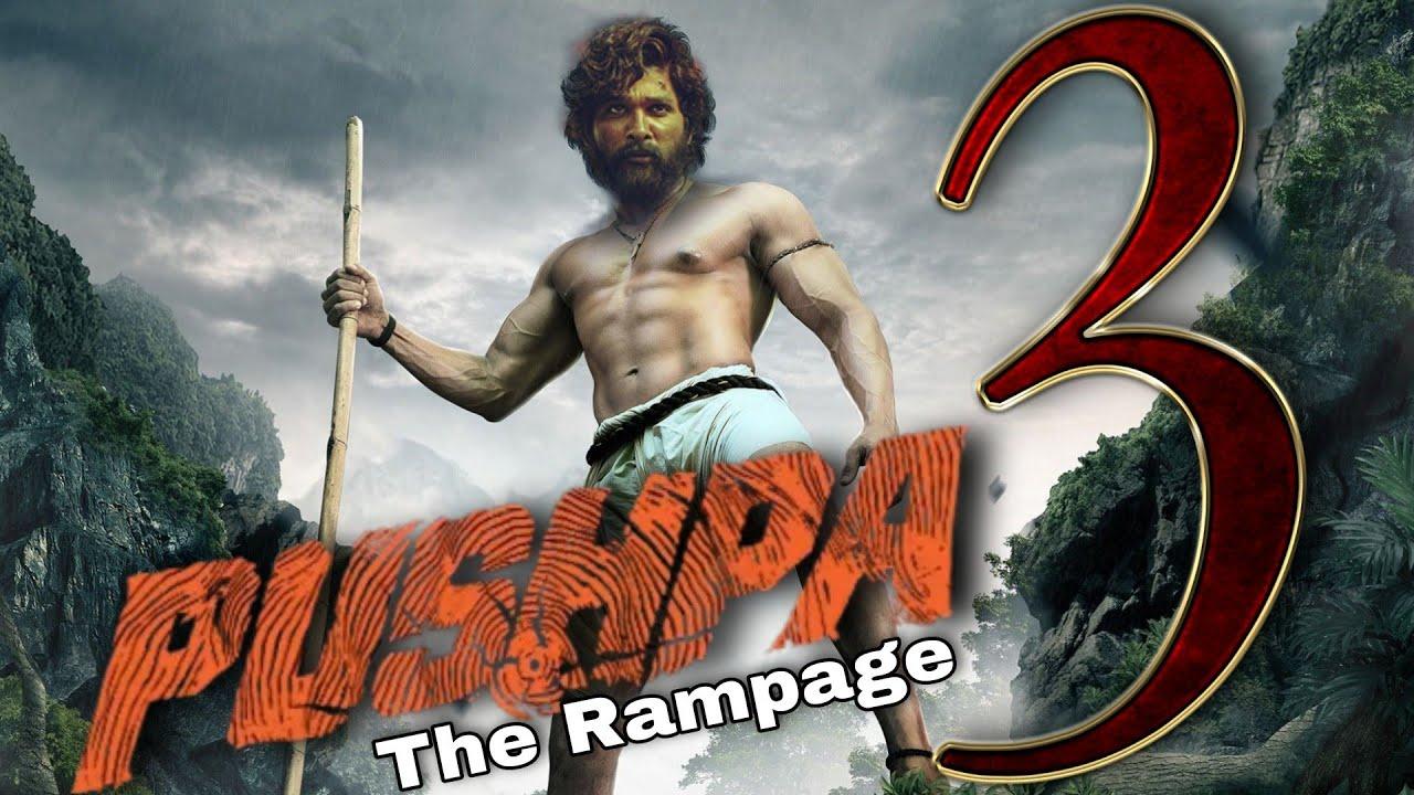 Allu Arjun enters into Pushpa 3