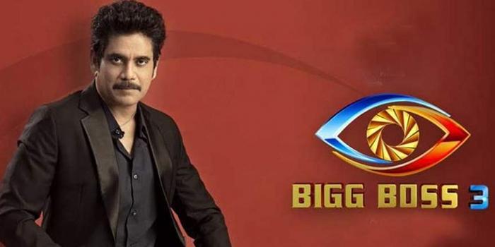 Who's Behind Bigg Boss 3 Controversies?