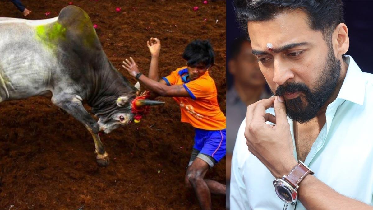 Suriya happy with SC ruling on Jallikattu