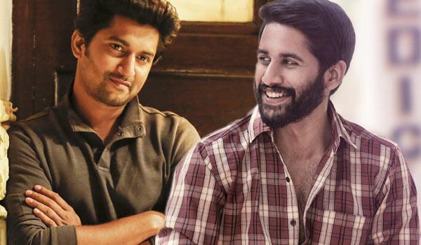 Majili Still Dominates Jersey!