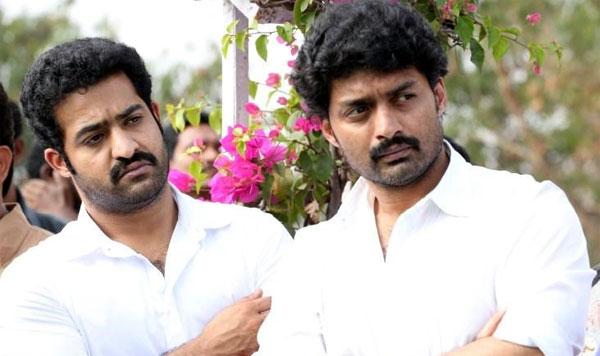 NTR Unmoved With 12 Crores Loss!