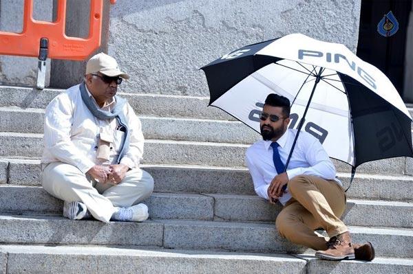 Why Only NTR Is The Sufferer?