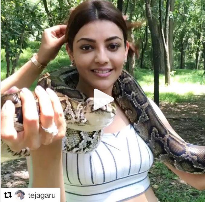 Kajal Adventurous Acts With Python