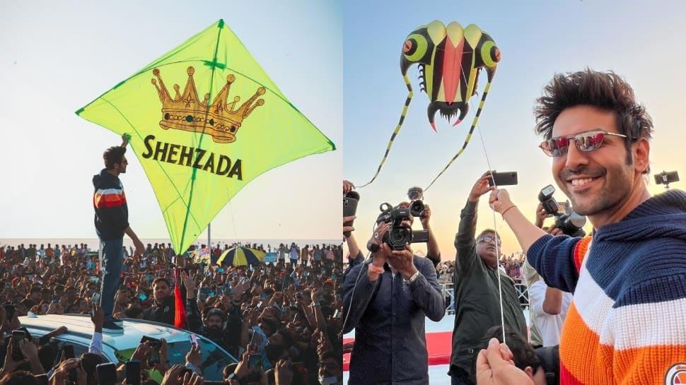 Shehzada kite flies high