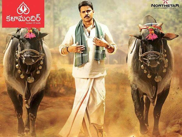 Katamarayudu: As Strong As a Bull