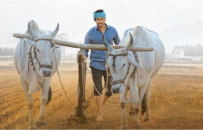 BO Tracking Sites Virakthi on Maharshi Collections?