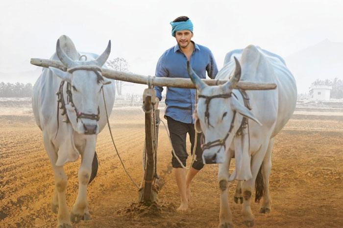 Maharshi: Mahesh Babu Tops The List