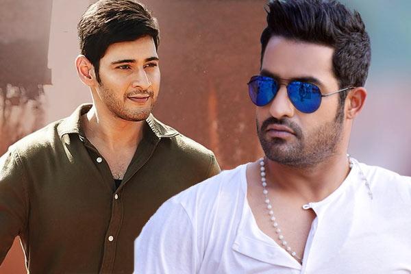 Fake News On NTR, Mahesh Babu!