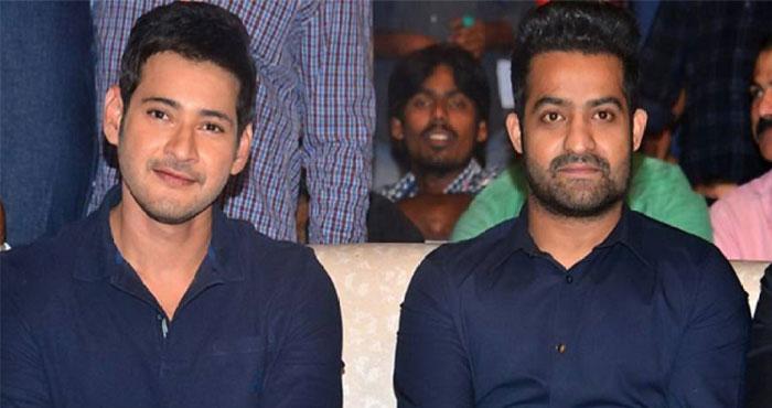 Mahesh Pours Cold Water on NTR Hopes?