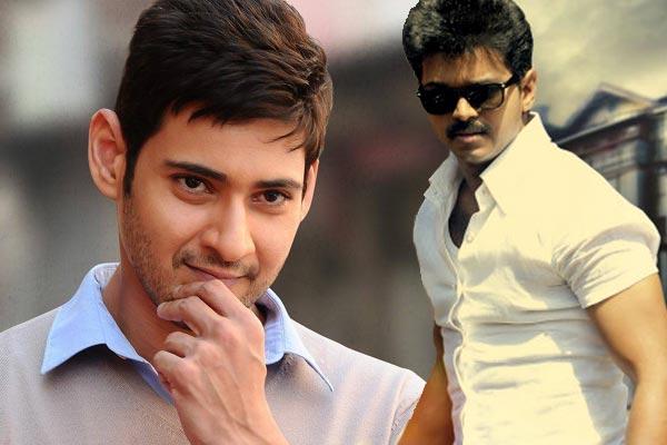 Here Mahesh, There Vijay!