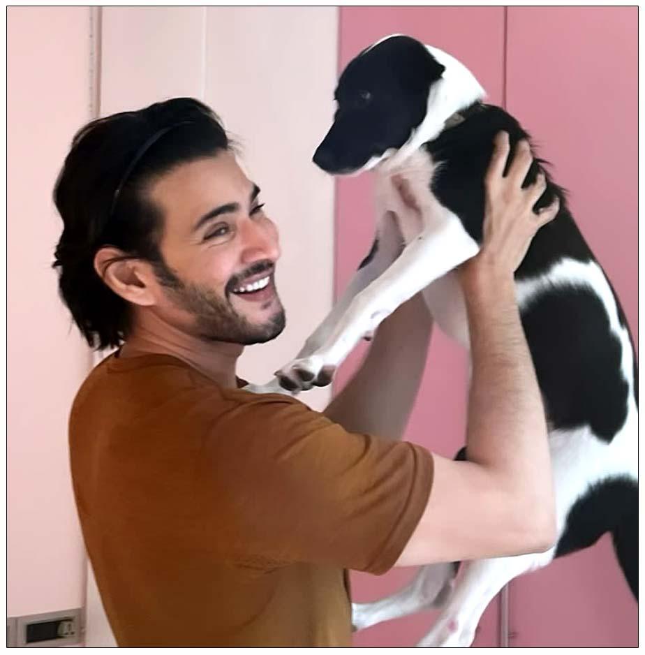 Mahesh Babu new friend hogging the limelight
