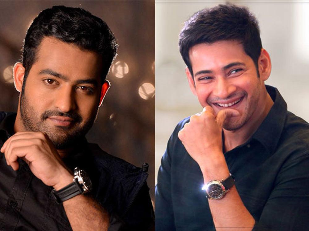 Super Star's silence and Young Tiger's shock